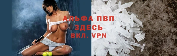 крисы Бронницы