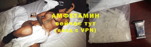 крисы Бородино