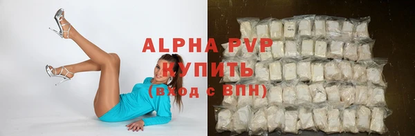 крисы Бронницы