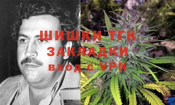 крисы Бородино