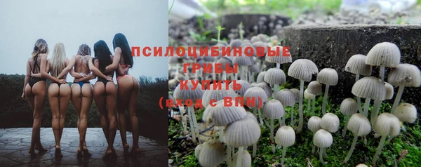 стаф Беломорск
