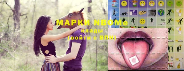 крисы Бородино