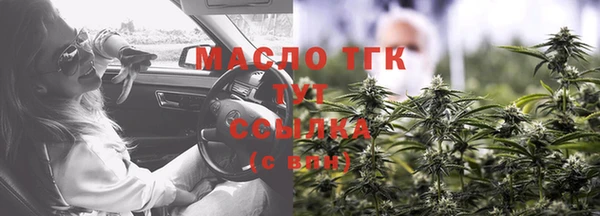 крисы Бородино
