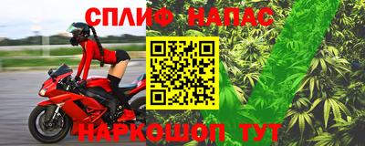 ECSTASY Гатчина