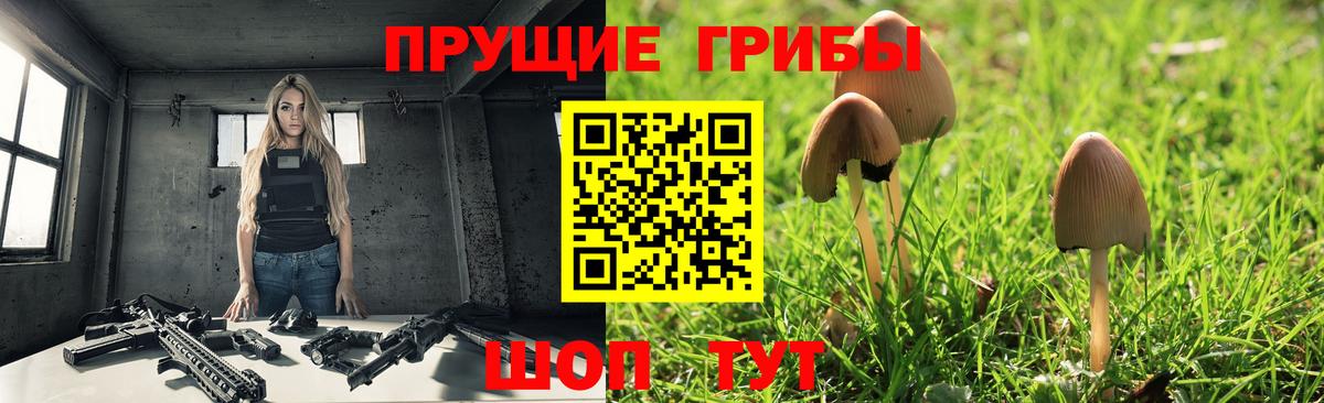 Кушва  Галлюциногенные грибы мухоморы  Вход с VPN 