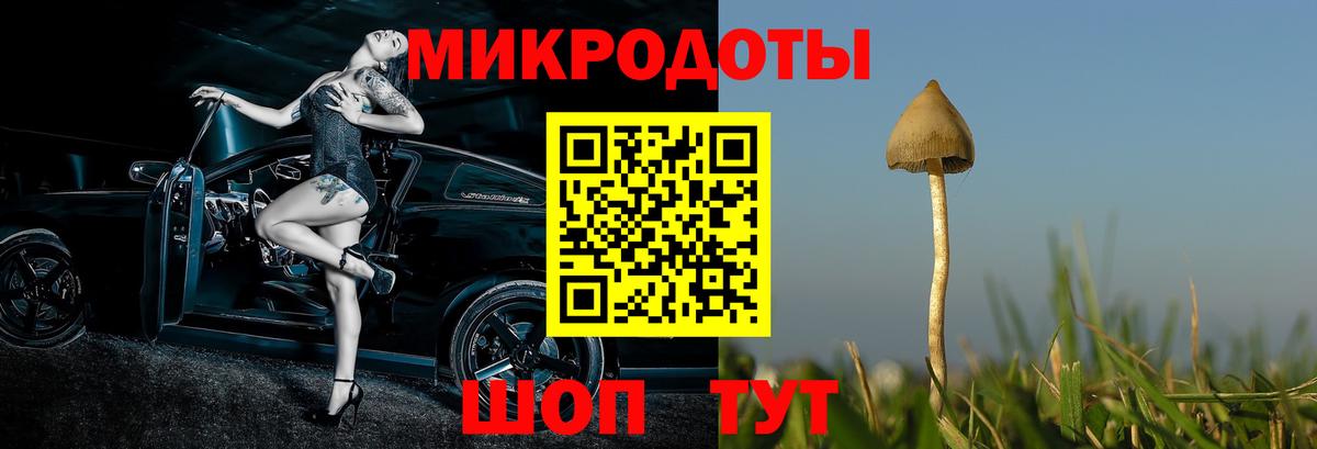 Псилоцибиновые грибы Psilocybe Кушва